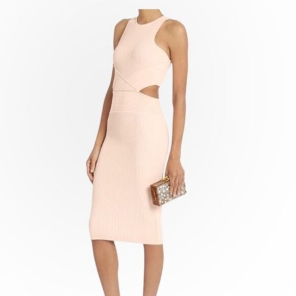 Ronny Kobo Blush Megan Cut Out Rib Dress, Size M - Picture 1 of 14